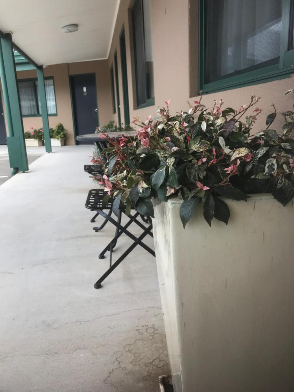 The Bakehouse Motel Goulburn Ngoại thất bức ảnh